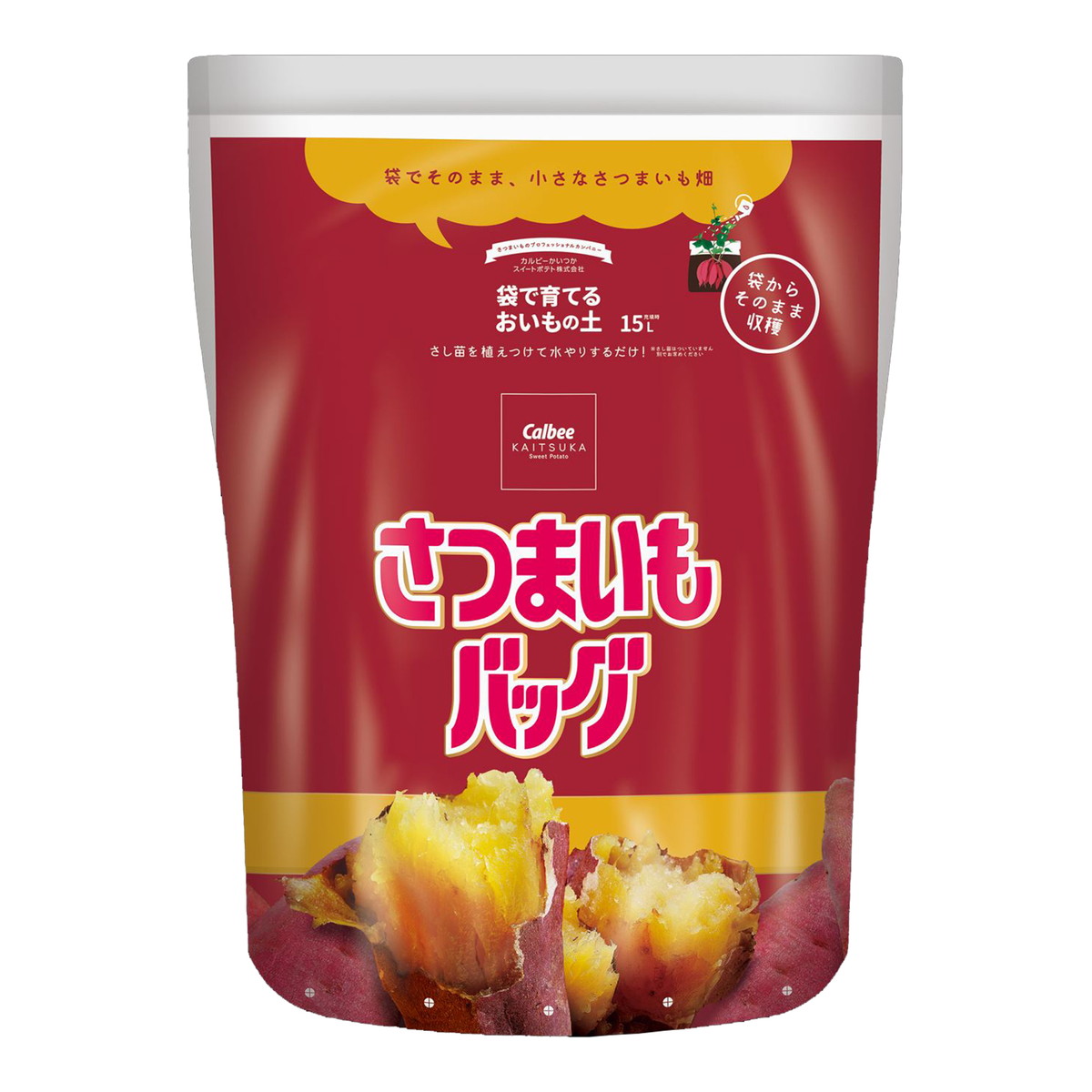 2026 新発売 新生産品 特集