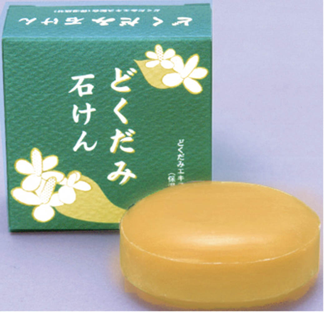 ?殺虫・殺虫剤打つ手特集? 洗顔石けん-洗顔料