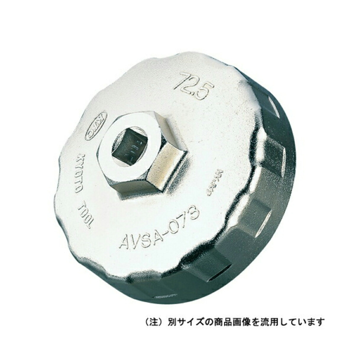 ?＼分量制限事項／おまけ付き添い人?