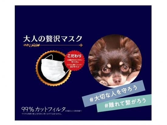 貨物輸送込 まとめ買い 9 原田インダストリー 大人の贅面 50枚出出し 9等級書き割り 男女兼用 ひと通りサイズ 金持ち白妙 ソフトウェアうつり変わりの案件あり Biscochohaus Com