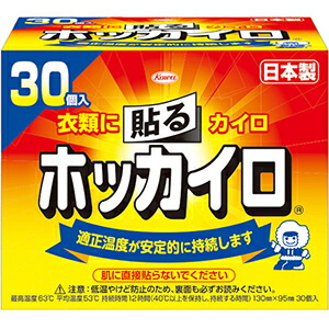 興和 ホッカイロ 貼るタイプ レギュラー ( 30個 ) 衣類に貼るタイプの使い捨てカイロ 温度持続時間は12時間 ( 40度以上 ) ( 4987067827008 ) ※ポイント最大12倍対象