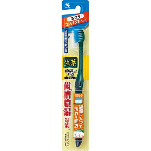 【送料込・まとめ買い×096】小林製薬 生葉歯間に入るブラシ　コンパクト　ふつう ( 内容量：1本 ) ×096点セット（4987072043257）