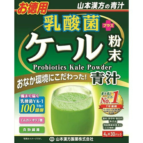 【送料込・まとめ買い×3個セット】山本漢方製薬 乳酸菌プラスケール粉末 お徳用 4g×30パック