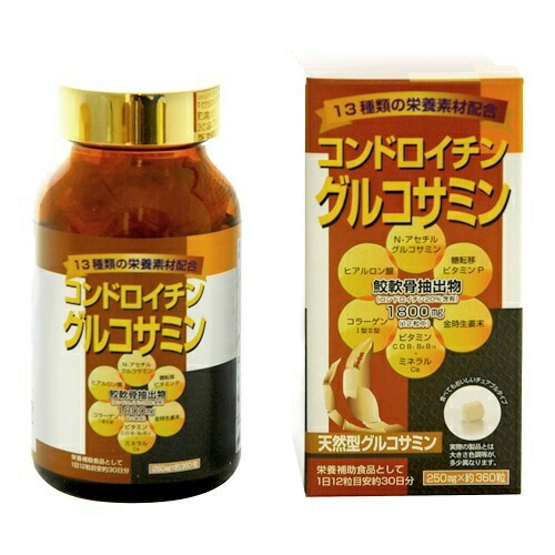 【送料無料・まとめ買い×10】ユニマットリケン コンドロイチン グルコサミン 360粒入