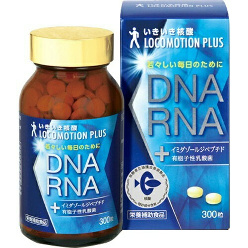 2026 新発売 新生産品 特集