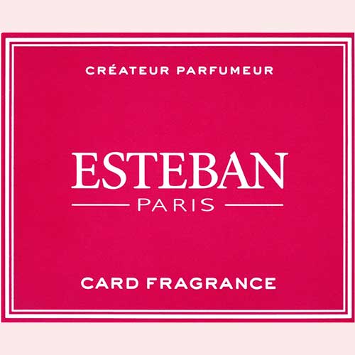 ESTEBAN(エステバン)「カードフレグランスマグノリア」(4902125521469)