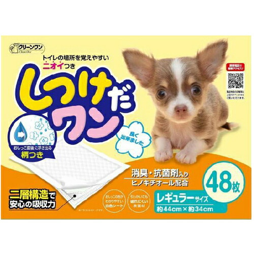 【送料込・まとめ買い×5点セット】クリーンワン　しつけだワン　レギュラー　48枚 (4990968111435)