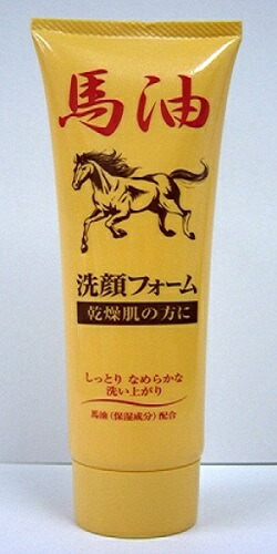 【送料込・まとめ買い×48個セット】 ジュン・コスメティック ジュンラブ 馬油洗顔フォームN 120g