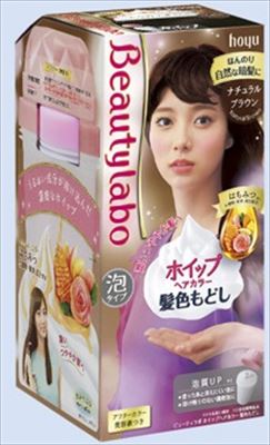 税込 送料無料 ホイップヘアカラー ビューティラボ ホーユー 送料込 まとめ買い 24個セット 髪色もどし 1個 125ml ナチュラルブラウン 101 024 Spmau Ac In