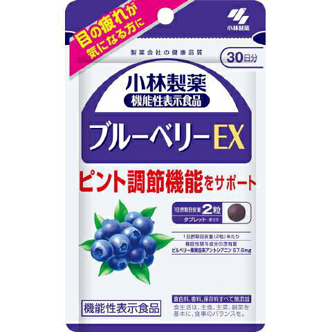 【×3個 配送おまかせ】小林製薬 ブルーベリーEX 60粒