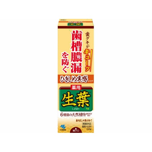【送料込・まとめ買い×48個セット】 小林製薬 ひきしめ生葉 100g 【歯槽膿漏予防】