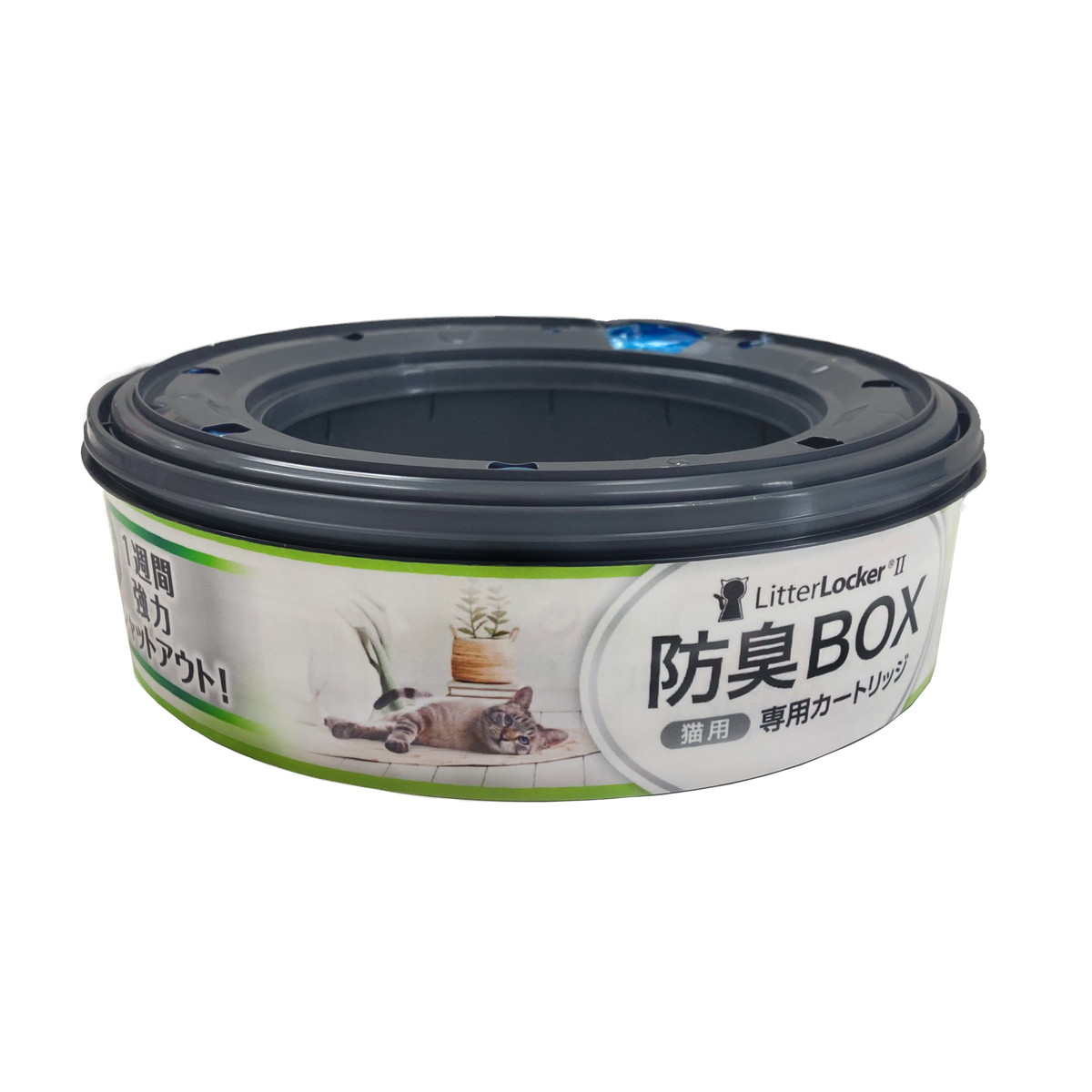 ◆貼り出し 送りとどける引き延ばす・欠品周囲の状況◆