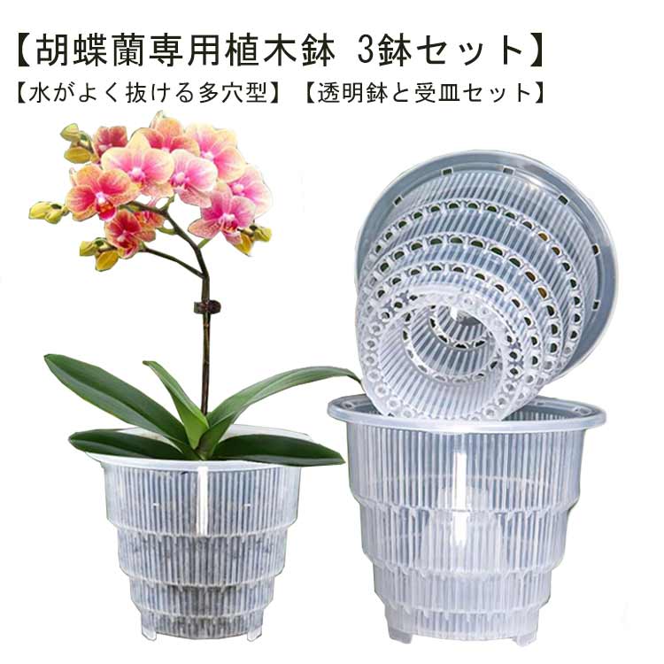 楽天市場】10鉢セット 胡蝶蘭 植木鉢 育苗ポット 透明 穴付き