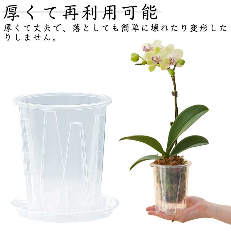 【専用商品】　洋蘭　胡蝶蘭　お試しアソート　6ポット +アジサイ 楽天市場】 根腐れ防止 洋蘭 6鉢セット 植木鉢 鉢 直径16cm 多穴