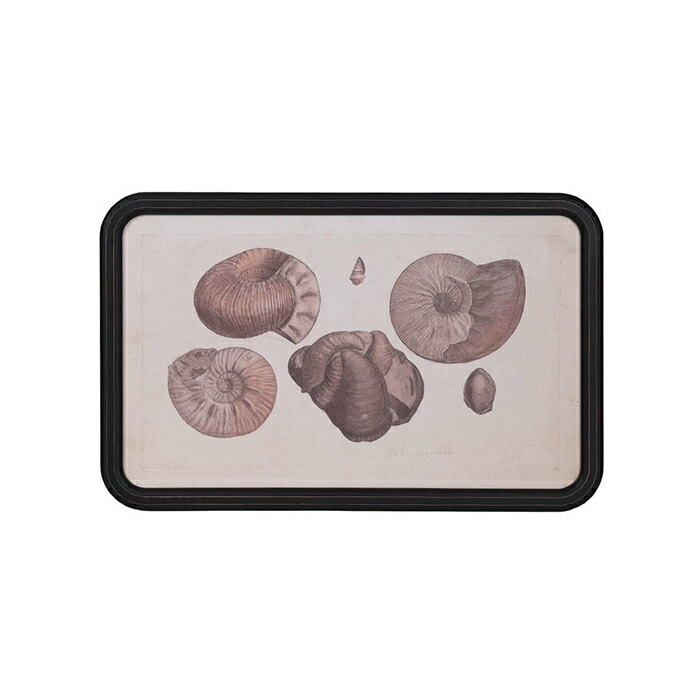 額縁 ART FRAME AMMONITE Y-0935AM 幅653x奥行20x高さ414mm ダルトン｜A-Tal Interior