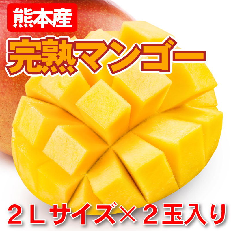 マンゴー 完熟マンゴー 熊本産<br>完熟マンゴー(2L×2玉)