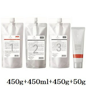 デミ フローディア ST スリークモイスト 1 450g + ST 2-C 450ml + ST 3-F 450g + 4 50g
