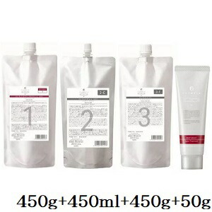 デミ フローディア ST ディープモイスト 1 450g + ST 2-C 450ml + ST 3-F 450g + 4 50g