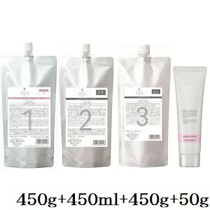 デミ フローディア ST グランストレッチ 1 450g + ST 2-C 450ml + ST 3-F 450g + 4 50g