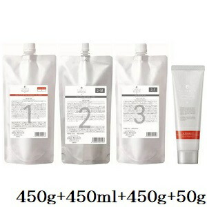 デミ フローディア ST スリークモイスト 1 450g + ST 2-M 450ml + ST 3-F 450g + 4 50g