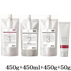 デミ フローディア ST ディープモイスト 1 450g + ST 2-M 450ml + ST 3-F 450g + 4 50g