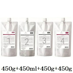 デミ フローディア ST ディープモイスト 1 450g + ST 2-C 450ml + ST 3 450g + 4 450g