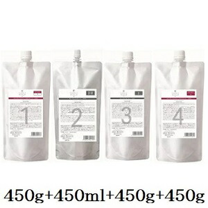 デミ フローディア ST ディープモイスト 1 450g + ST 2-V 450ml + ST 3 450g + 4 450g