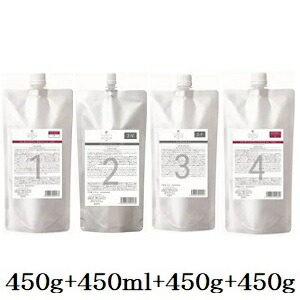 デミ フローディア ST ディープモイスト 1 450g + ST 2-V 450ml + ST 3-F 450g + 4 450g