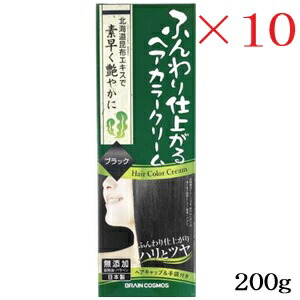 ふんわり仕上がる髪の毛色合い皮膚軟化剤 200g 黒いこと ×10仕かける ヘアケア・スタイリング-美容・コスメ・香水-白髪染め