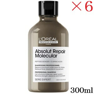 ロレアル セリエ アブソルート R モレキュラー シャンプー 300ml ×6セット|アットビューティー株式会社
