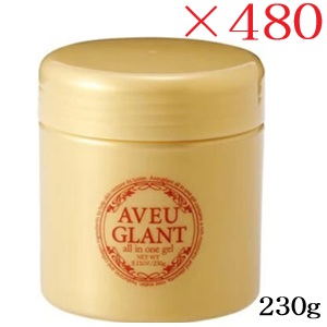 アブグラン オールインワン先だつもの 230g ×480書き割り