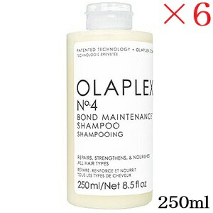 オラプレックス No.4 公債証書検査と修理 シャンプー 250ml ×6書き割り