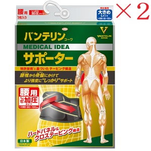 興和新薬 バンテリンコーワ 加圧サポーター 腰用固定タイプ 大きめサイズ ブラック −2− ×2セット|アットビューティー株式会社