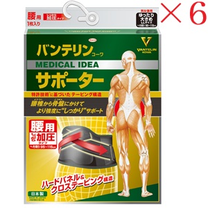 興和新薬 バンテリンコーワ 加圧愛読者 腰用据えつける手合い ゆったり大きめ大きさ 黒いこと －2－ ×6書き割り