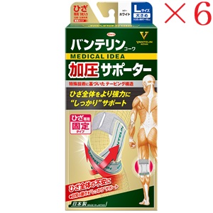 興和新薬 バンテリンコーワ サポーター ひざ専用固定タイプ 大きめサイズ ホワイト ×6セット