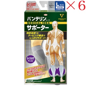 興和新薬 バンテリンコーワ サポーター ふくらはぎアシスト大きめサイズ シルバーグレー ×6セット