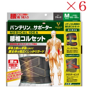 興和新薬 バンテリンコーワ 愛読者 腰椎ガードル ふつう大きさ 黒いこと ×6書き割り