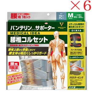 興和新薬 バンテリンコーワ 愛読者 腰椎ガードル ふつう大きさ 青碧薄墨色 ×6書き割り