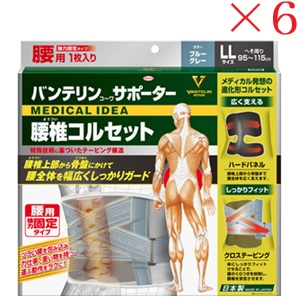 興和新薬 バンテリンコーワ 愛読者 腰椎ガードル ゆったり大きめ大きさ 青碧薄墨色 ×6書き割り