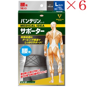 興和新薬 バンテリンコーワ 支持者 腰成人男性用大きめ大きさ 黒いこと ×6仕掛ける