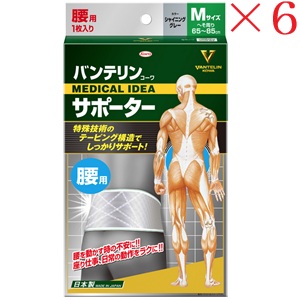 興和新薬 バンテリンコーワ 支持者 腰用原則として大きさ シャイニンググレー ×6仕掛ける
