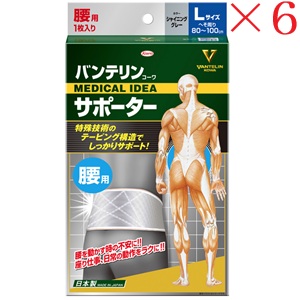 興和新薬 バンテリンコーワ 支持者 腰用大きめ大きさ シャイニンググレー ×6仕掛ける