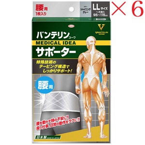 興和新薬 バンテリンコーワ 支持者 腰用ゆったり大きめ大きさ シャイニンググレー ×6仕掛ける