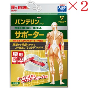 興和新薬 バンテリンコーワ 加圧サポーター 腰用固定タイプ 大きめサイズ ブルーグレー ×2セット|アットビューティー株式会社
