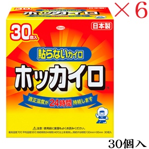 興和新薬 ホッカイロ 貼らない レギュラー 30個 ×6セット