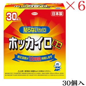興和新薬 ホッカイロ 貼らない ミニ 30個 ×6セット