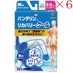 興和新薬 バンテリンコーワ リカバリー クール 腕用 S～Mサイズ パールホワイト ×6セット