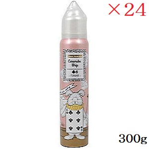 デミ ウェーボ ジュカーラ キャラメイク ホイップ 6 300g &times;24セット｜アットビューティー株式会社 29,933円