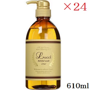 MIAN ミアン (ジェラルド・r・フォード) ルッチ メルティフルウォッシュ 610ml ×24仕掛ける