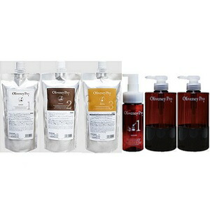 アモロス オリヴァニー プロ 1 トリートメント 500ml + 2 トリートメント 500g + 3 HN トリートメント 500g + 専用ポンプフォーマー